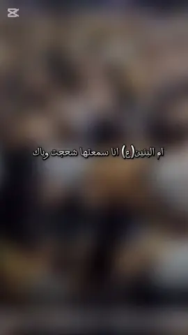 يا سورنه و ضمدنه#النجف_الاشرف #الطور_النجفي_الاصيل #fypシ #CapCu #خدام_الحسين #كرارالعارضي 