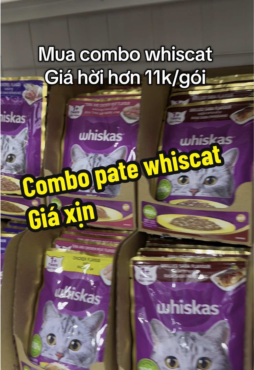 #kempet177ngogiatu #patewhiskas #whiscat #patewhiskaschomeo 