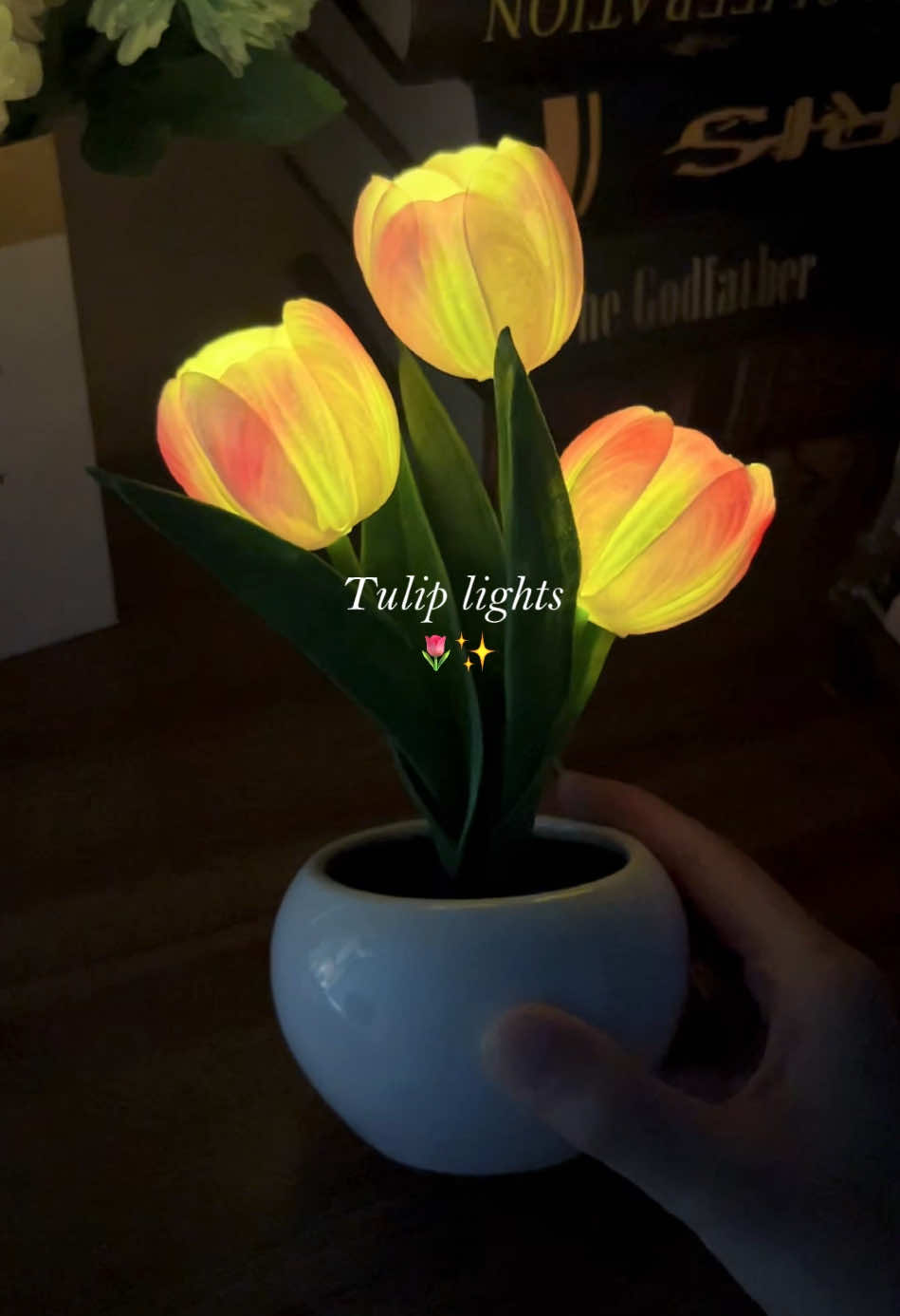 The perfect spring decor, tulip lights so cute🌷🌷✨  #tulip #tulips #tulipseason #tuliplight #lights #ledlight #springtok #springdecor #springdecorating #tiktokshopmothersday #giftforher #TikTokShopLastChance #TikTokShopNewYearNewAura  #tiktokshopholidayhaul #spotlightfinds #tiktokshoploveatfirstfind #DealDrops #SpringSale#tiktokmademebuyit