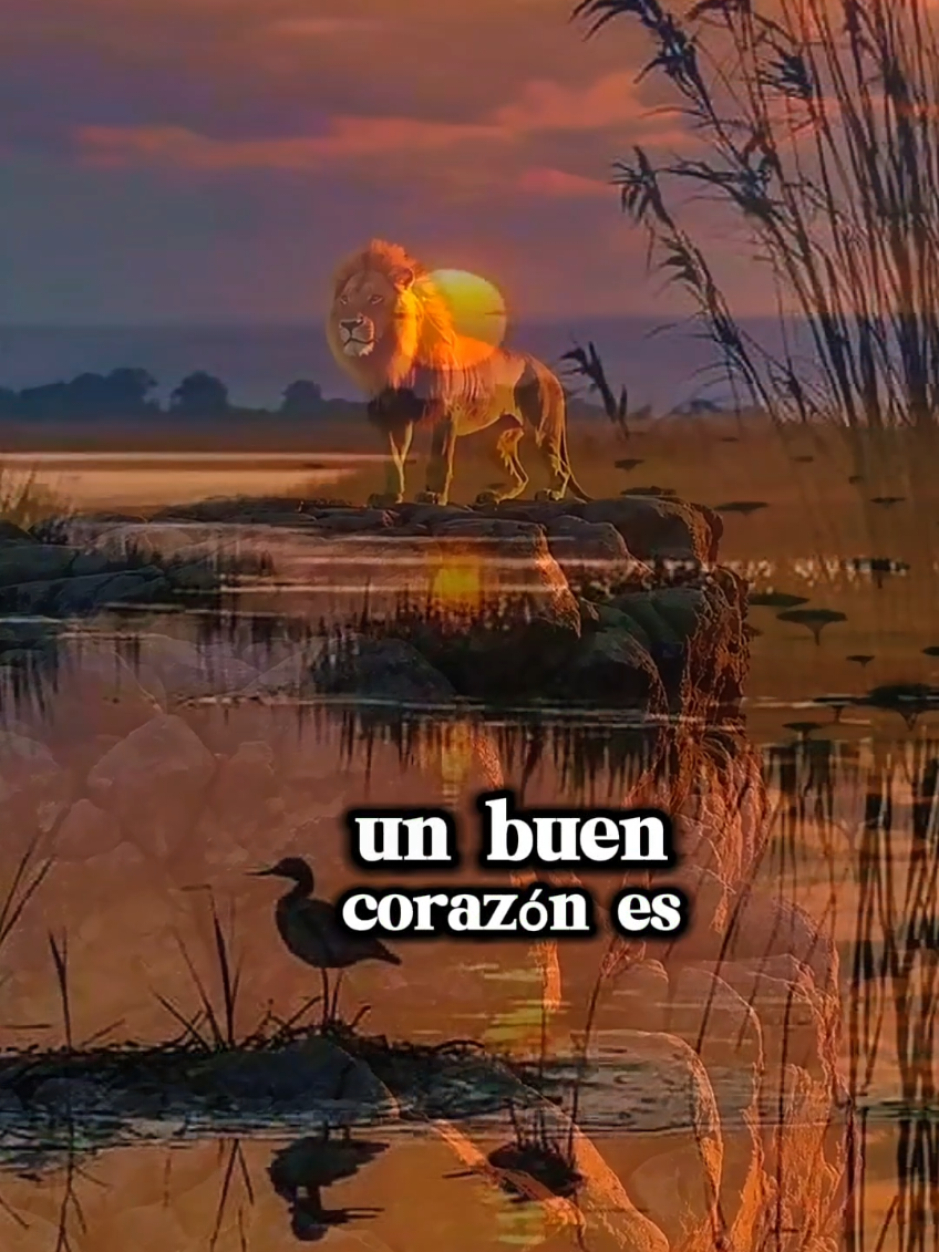 1 Samuel 16:7 RVR1960
 [7] Y Jehová respondió a Samuel: No mires a su parecer, ni a lo grande de su estatura, porque yo lo desecho; porque Jehová no mira lo que mira el hombre; pues el hombre mira lo que está delante de sus ojos, pero Jehová mira el corazón. 
 
 https://bible.com/bible/149/1sa.16.7.RVR1960
