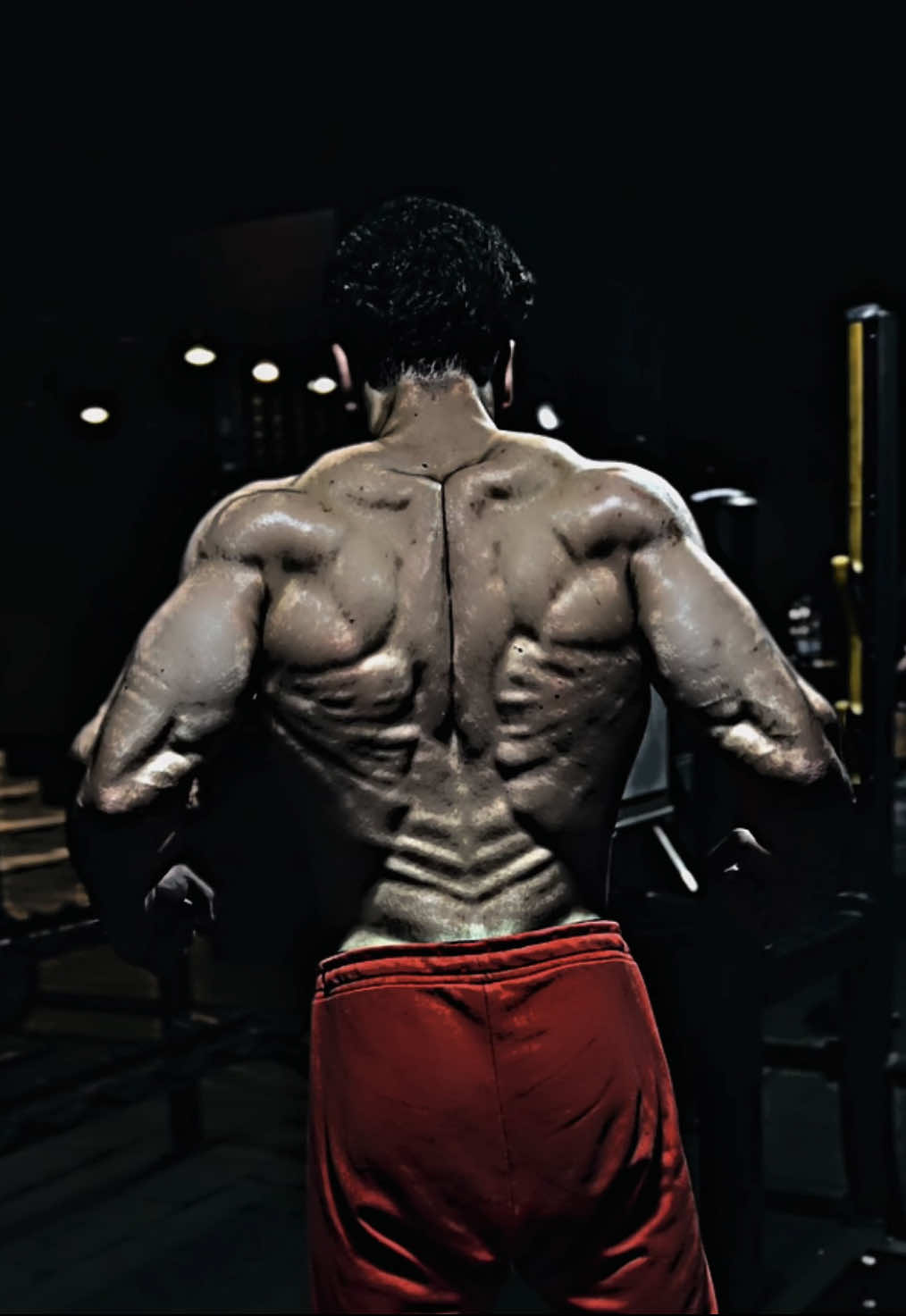 Natty back level max 🧬 #back #shredded #natty #fyp #viralvideos 