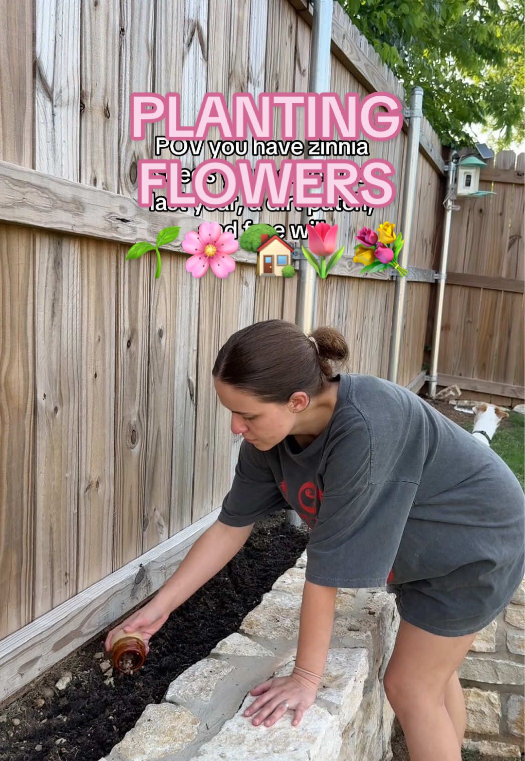why didn’t I think to do this last year?!🌱🌸 . . . #gardentok #chaosgardening #zinnias #cutflowers #cutflowergarden #gardening #homegarden #zone8b #gardening101 #slowliving 