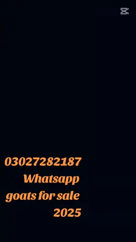 goats for sale 2025 03027282187 Whatsapp 