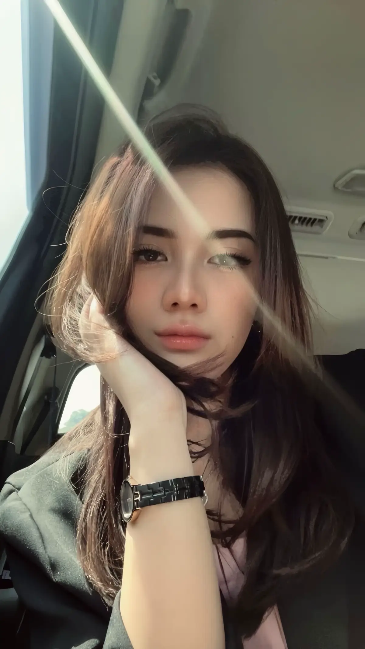 🕊️