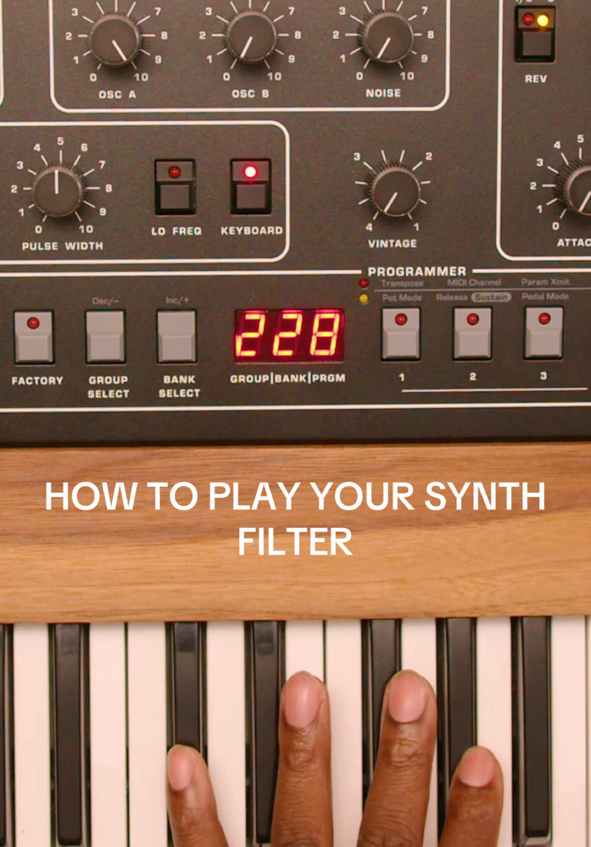 Let’s make a epiano sound using ONLY your filter!!! #synth #synthtok #synthwave #tutorial #synthesizer #prophet5 #synthtips 