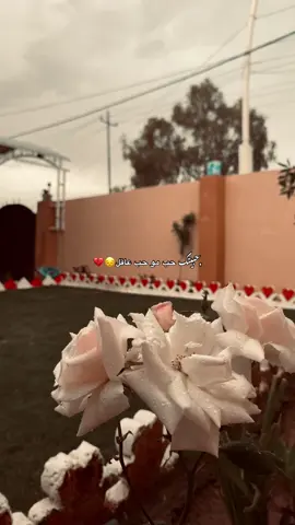 حبيتك حب مو حب عاقل🥲💔#تصويري📷 #تصويري📸 #سينمائي #النمرود #الموصل #موسيقى #موسيقى_تركية #اقتباسات #عبارات #شعر #اكسبلوررررر #explore #حمودي_الدليمي✨🤍 