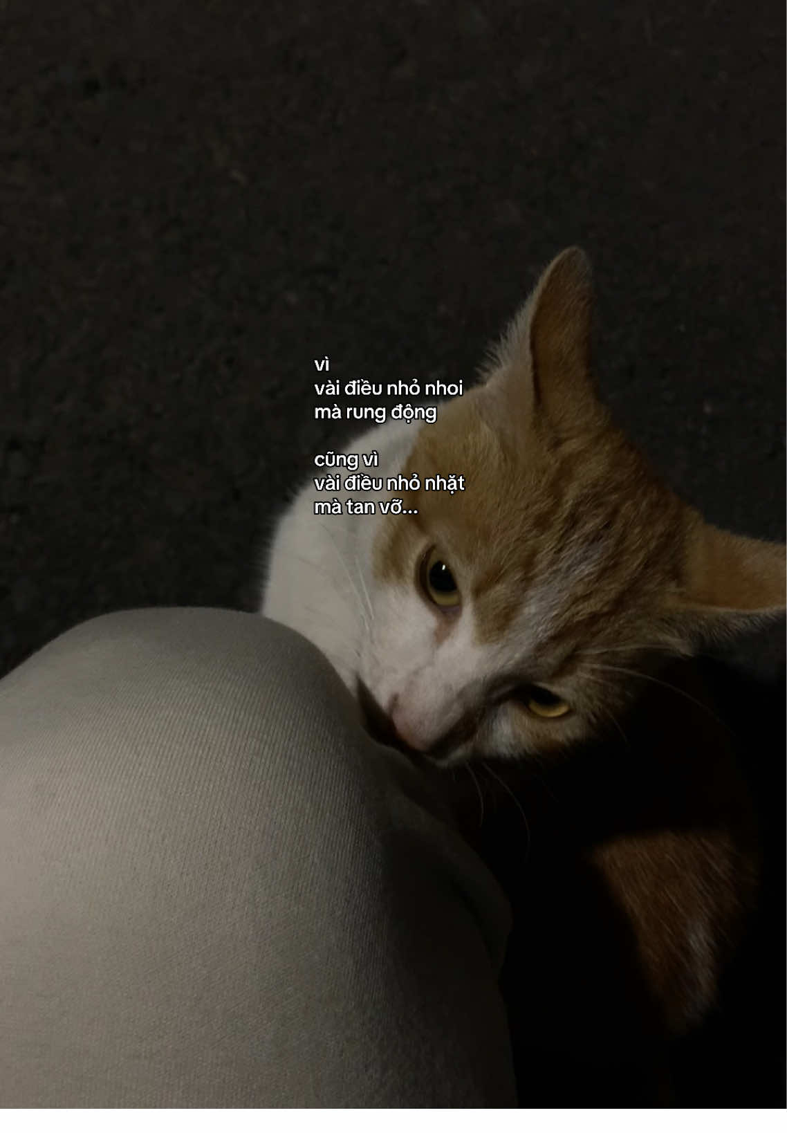 #brokenheart 