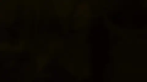 #makeitviral 