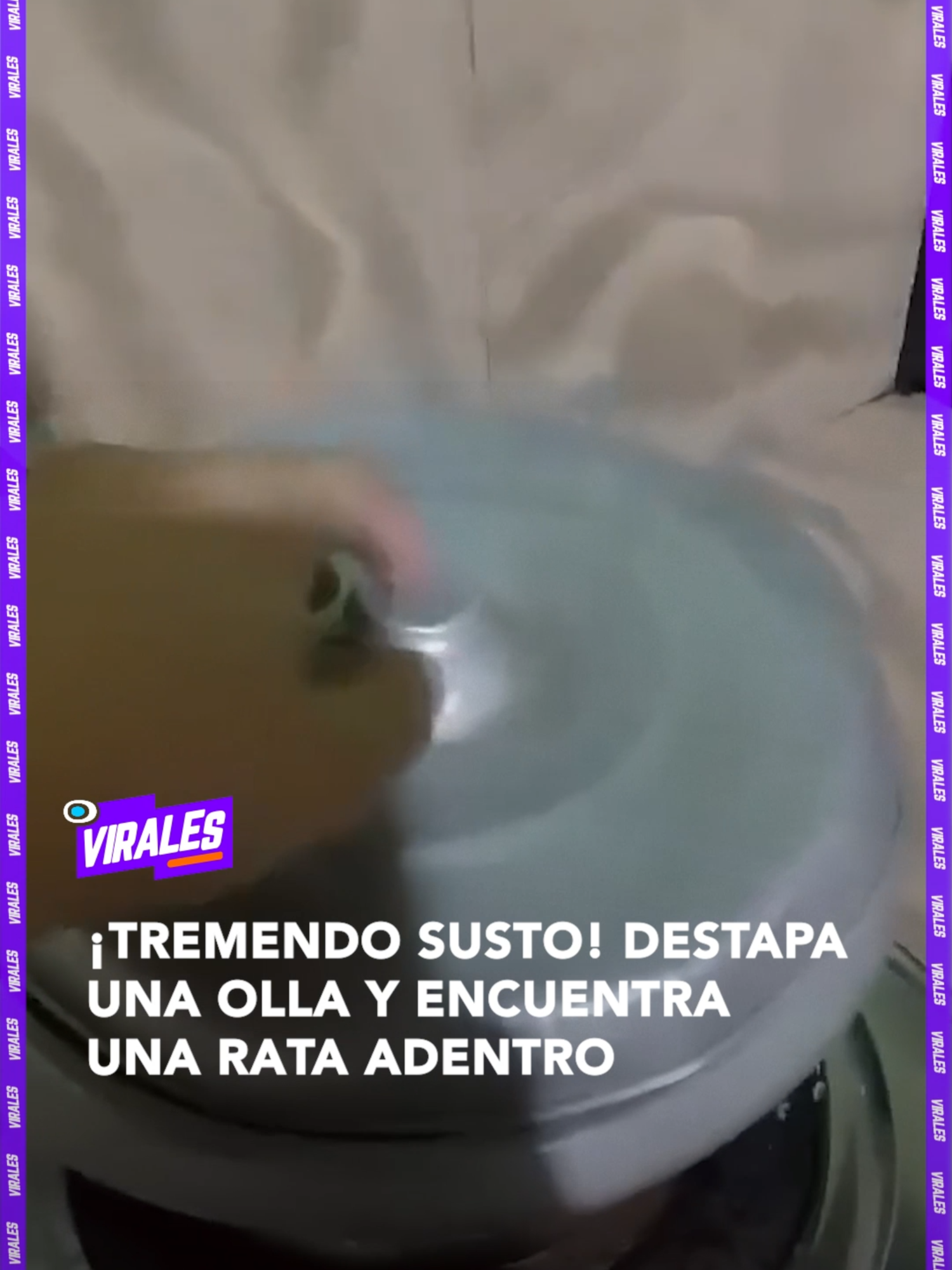 #Virales I Lo que empezó como un día normal en la cocina terminó en un susto monumental 😱. Al destapar una olla, no encontraron comida… ¡sino una rata gigante! 🐀 El momento quedó grabado y se volvió viral por el increíble suceso que no a cualquiera le pasa. FUENTE: redes sociales ▶️ Más información en www.reduno.com.bo #RedUno #RedUnoDigital #Notivisión #NTVInforma #Bolivia