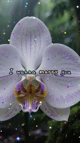 #Love#lovequotes #fypシ 