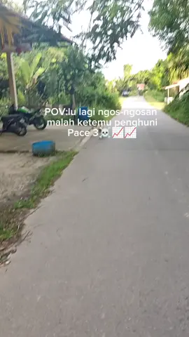 penghuni Pace 3 memang gila#fypppppppppppppppppppppp 