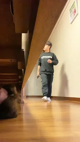 🤣🤣🤣#scare #scareprank #scarecam #funnyvideo #prank #foryoupage #viralvideo #fun #jumpscare #trendingvideo #fyp #couple #challenge #virral #family #coworkers #colleague 