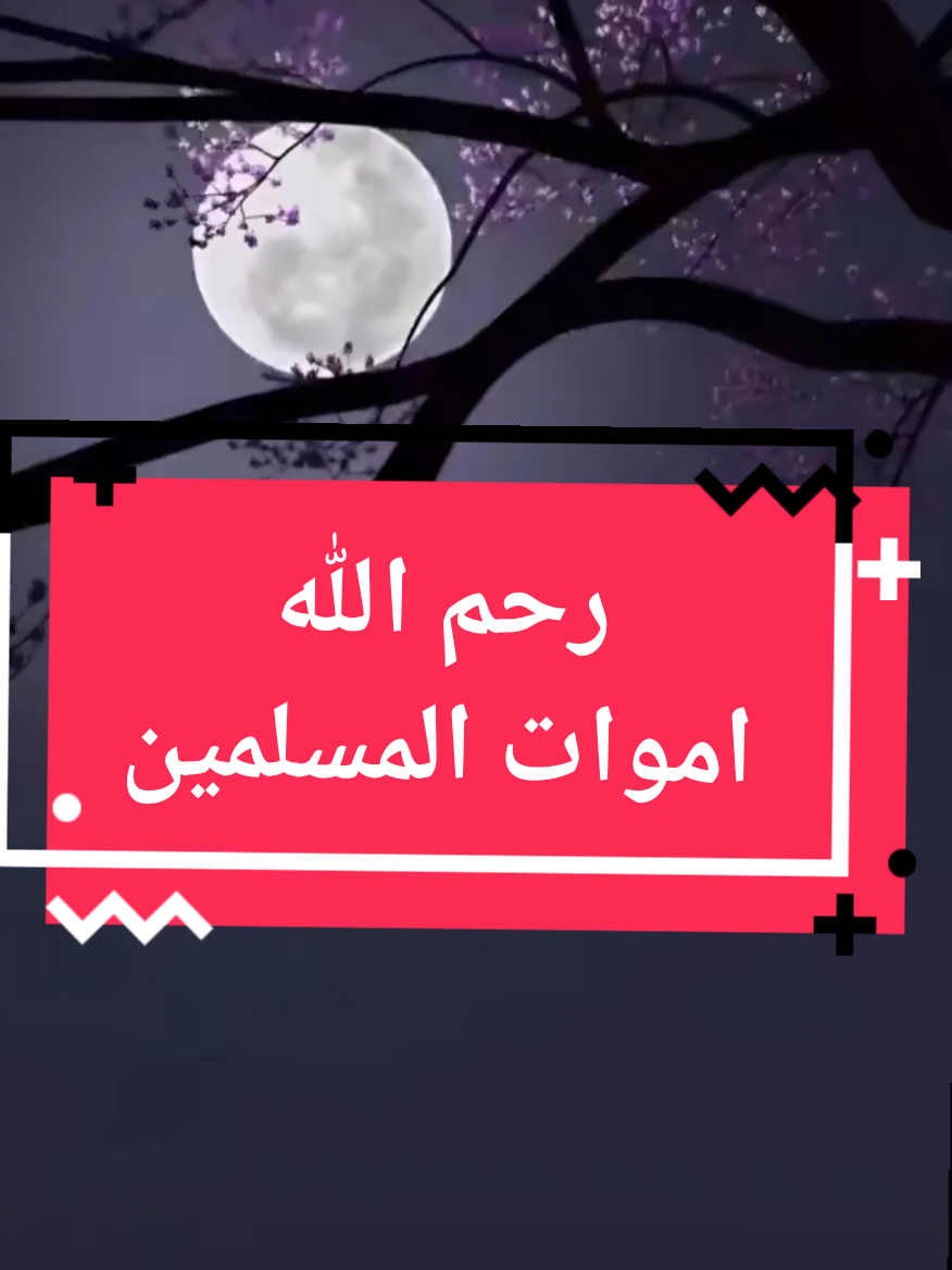 #راشد_الكناني #في هذا اليوم #اكسبلور #الشعب_الصيني_ماله_حل😂😂 #زهران_العناصي #مجالسي #مكه_المكرمه 
