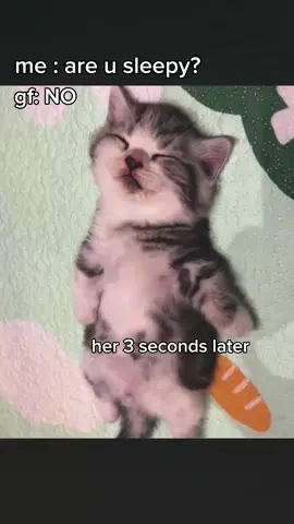 relatable! #fyp #catmeme #relatable #catsoftiktok #couple #bf #gf #Relationship #cattok 