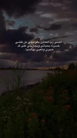 اتمنى رب العالمين يعوضني عن  كلشي خسرته بحياتي ويجازيني على  كد صبري وتعبي بهالدنيا . #خدام_الحسين  #اكسبلور_explore #ضيفونا #باسم_الكربلائي  #اكسبلور_فولو #تصميم #تصوير #كربلاء_المقدسه