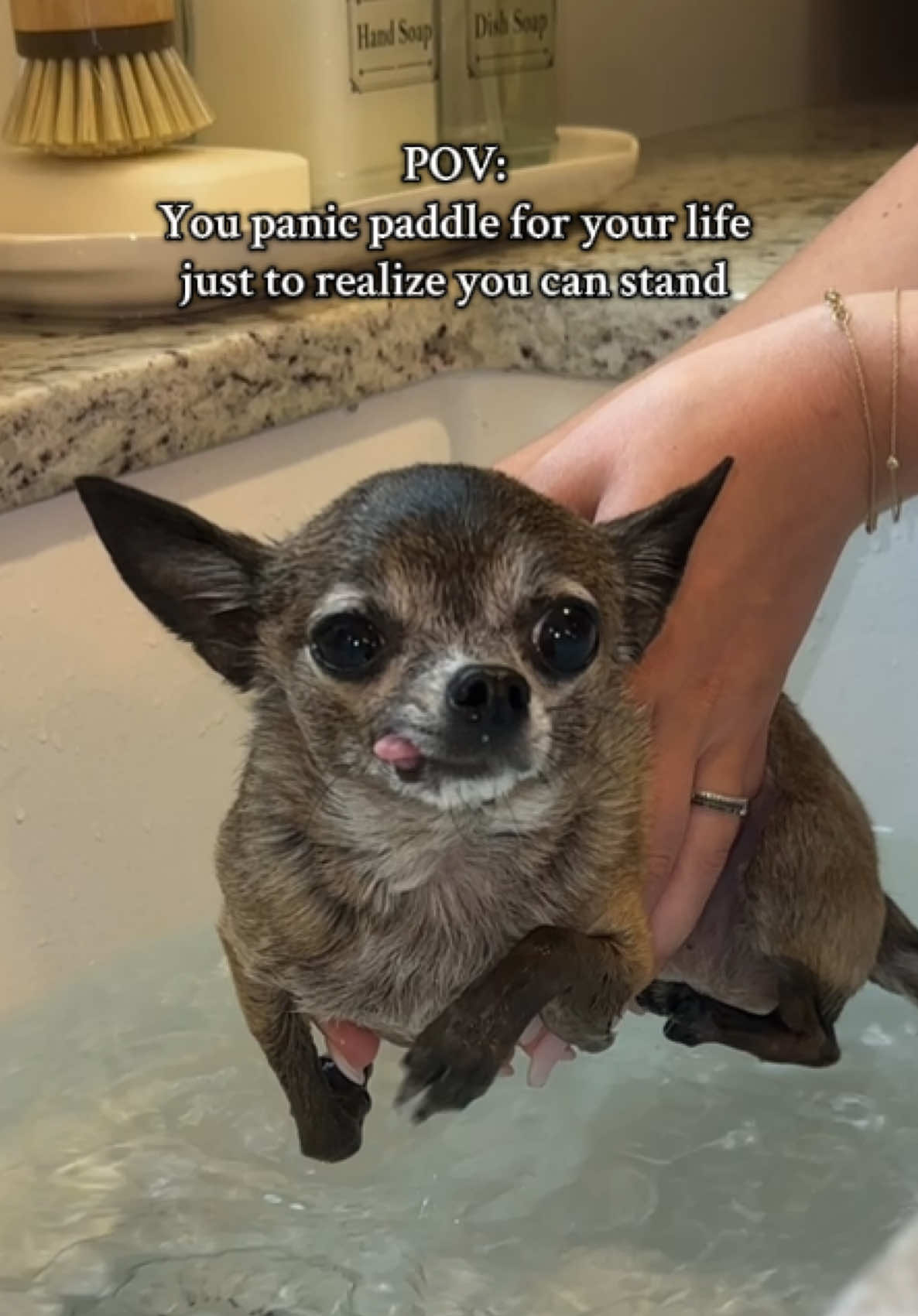Being dramatic per usual 🤭💅🏻 #chihuahuas #chichi #bathtime #doglover #chihuahualove #sillydog #teacup 