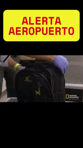 Traje De Negocios, Maleta La Increíble Historia P2 - Alerta Aeropuerto#alertaaeropuerto #parati #viralditiktok  #fypシ