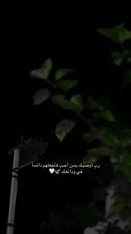 #ربِ_أوصيك_بمن_احب_فأجعلهم_دائماً_في_ودأئعك🤍🤍#اقتباسات_جميله #fyp #اكسبور_erolpxe #عبارات #شعراء_وذواقين_الشعر_الشعبي #اليمن_صنعاء_تعز_اب_ذمار_عدن_وطن_واحد #السعودية_الكويت_مصر_العراق_لبنان #العراق🇮🇶❤️ 