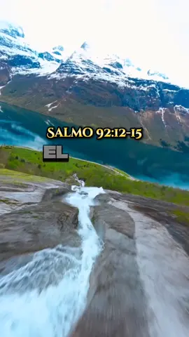 El Justo florecerá 🌴 - Salmo 92:12-15 #hagamosviralajesus #jovenescristianos #labiblia #lecturapublicadelabiblia #labibliadice #labibliaentiktok #estadosunidos 