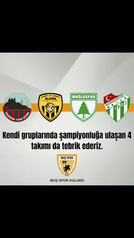 Tebrikler 👏👏 #mardin1969spor❤️💙 #aliağafk #muğlaspor #bursaspor #beniöneçıkart #keşfet #teksas 