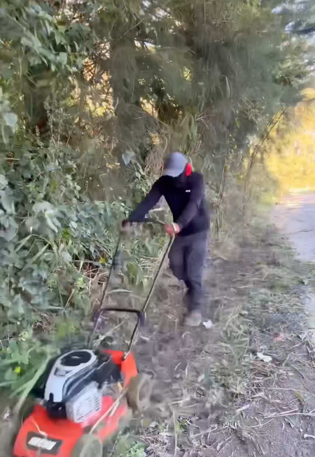 Well that escalated  #asmr #satisfying #nathanslawnsandgardens #relax