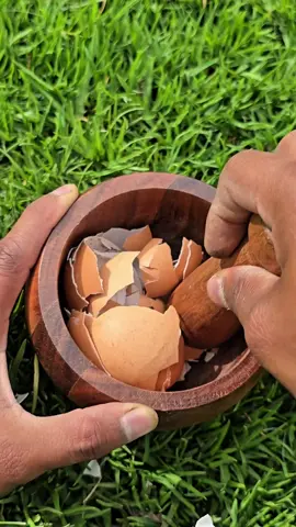 Turn your kitchen waste into powerful organic fertilizer! Crush eggshells into a fine powder, mix with lemon juice, and after 24 hours you’ll have a calcium-rich solution to boost your plants' roots, stems, leaves, and fruits naturally. Stronger plants, healthier gardens! #OrganicGardening #PlantTips #HomeGardening #SustainableLiving #GardeningHacks #HowToGrow #GrowYourOwn #HealthyPlants #EcoFriendly 