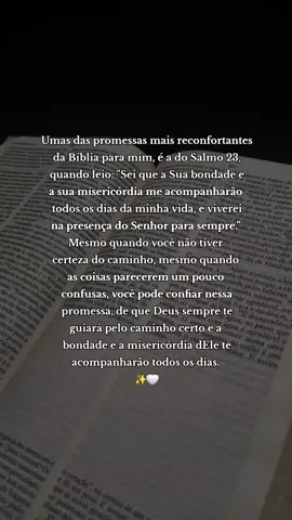 Deus sempre te guiará pelo caminho certo e a bondade e misericórdia dEle te acompanharão todos os dias. 🤍 #deus #palavradedeus #biblia 