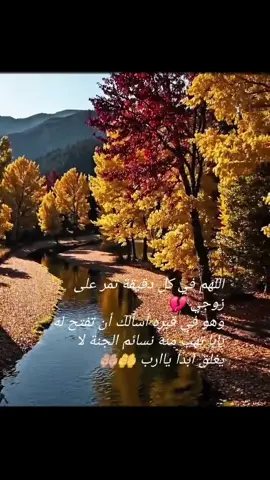 #رحمك الله وغفر لك واسعدك بقبرك يارحيم اسعده في قبره واجعله في نعيم دائم#اجعلها صدقة جارية لزوجي يارب🤲🏼#💔🥀 