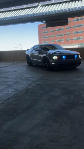 🐎🐎🐎 #fordperformance #americanmuscle #mustanggt #mustang5oh 