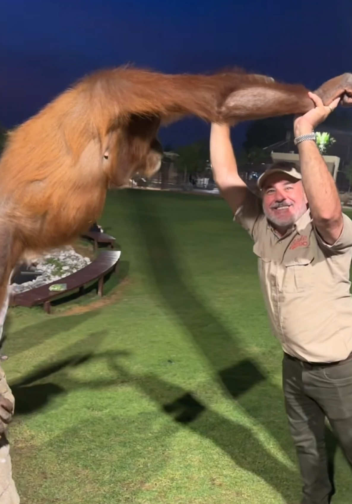 Up close with one of the most intelligent primates on the planet - the almighty orangutan 🦧 Look at those eyes 👁️ There’s a whole world of wisdom in there 🧠 She’s giving us all the attitude and we’re here for it’s! Who else would hang out with one of these awesome guys‼️