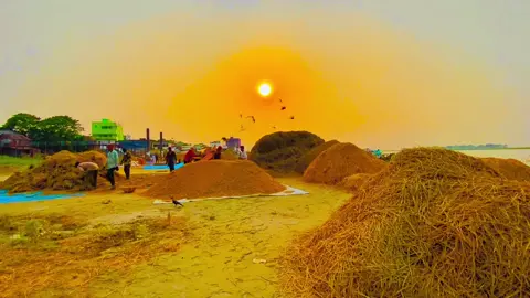 তুমি চিরদিন বিসনা কঠিন তোমায়  ভালো বেসে যায় মোরা #foryoupage #japan #vairal #typpppppppppp #unfreezemyacount #bangladesh 