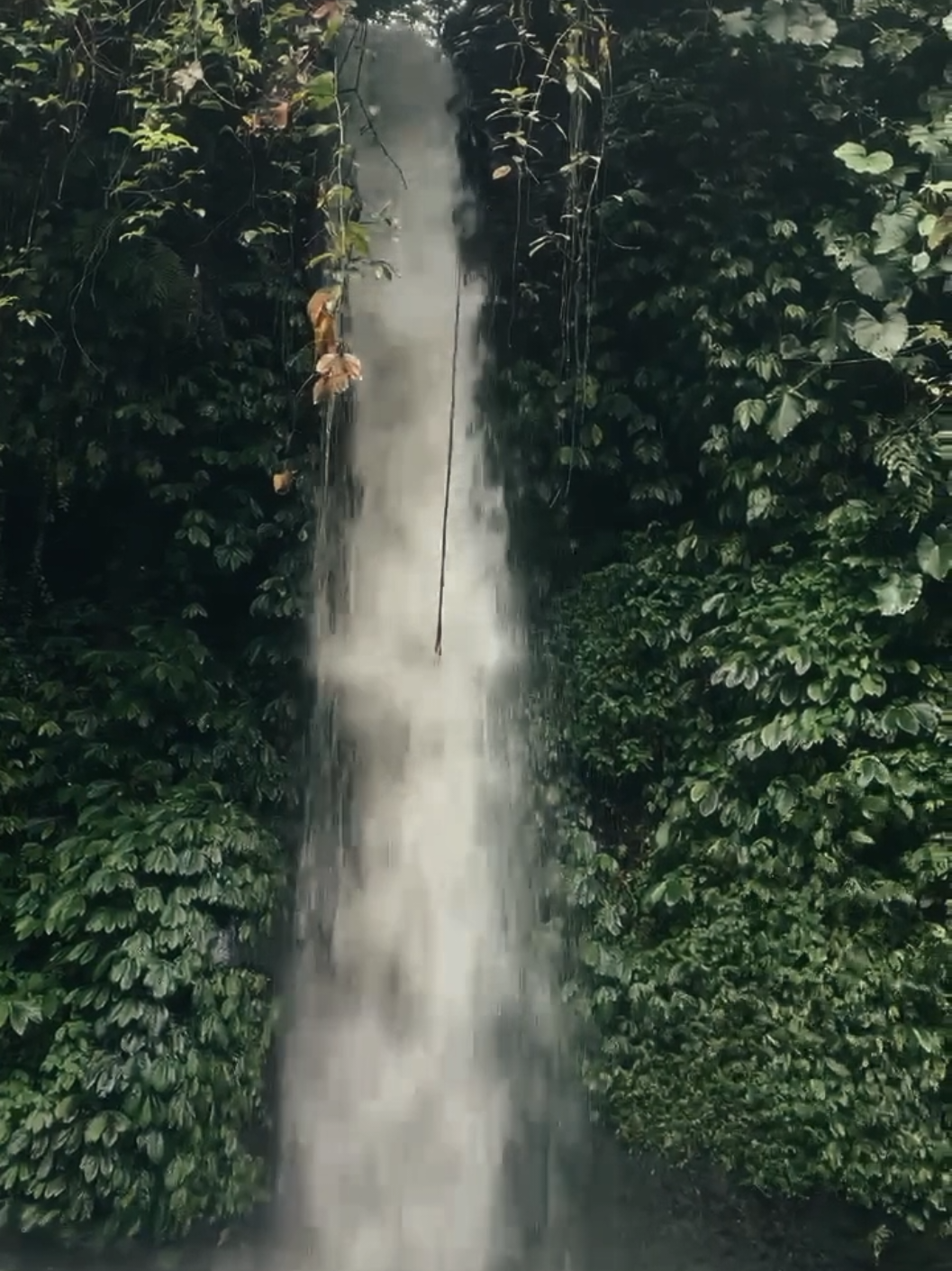 -AIR TERJUN SUNGAI DALAM 2 alam adalah obat untuk mereka yang tdengan pikirannya,apalagi dengan pepohonanan hijau yng sejuk seolahidak pernah sembuh berkata selamat datang di ketenangan #alam #fy #airterjunsungaidalam #fyp #masukberanda 