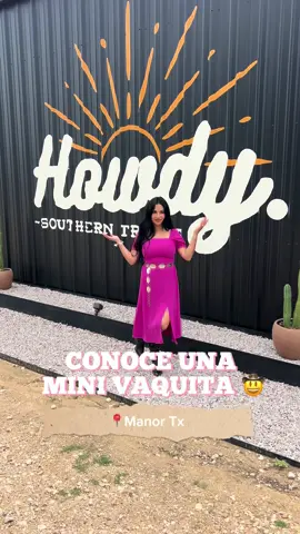 Vallan a conocer esta mini vaquita en @Southern Trails 🤠 en📍15701 Decker Lake Rd Manor, TX  78653 ✨ #atx #atxlife #manor #minicow  #austinthingstodo #austintx #austintexas #austininfluencer #austininfluencer #keepaustinweird #highlandcow #horse #cow #manortexas #southerntrailrides #horserides #cowtherapy #austincontentcreator 