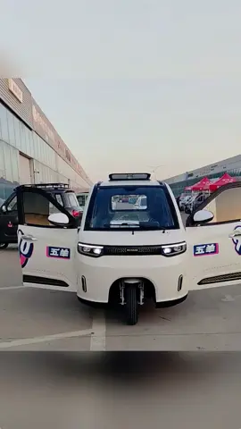 🚗💨 Do you prefer fast speed or long battery life? Let's discuss it!  #ElectricTrike #EcoFriendly
 #gogreen 