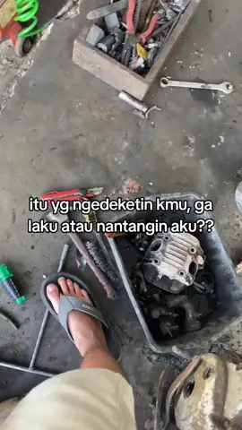 sinii