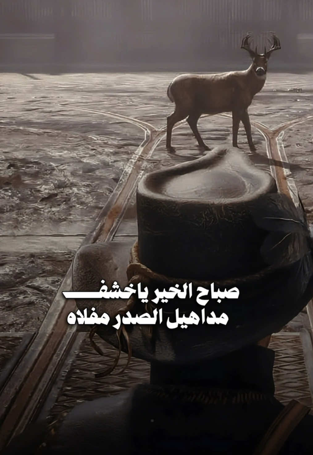 #CapCut   صباح الخـير ياخشف مداهيل الصدر مفلاه 📮.. #اكسبلورexplore❥🕊 ، #صباح_الخير ، #، #تصاميم_فيديوهات🎵🎤🎬 ، #محمد_ال_دلبج ، #صباحيات 