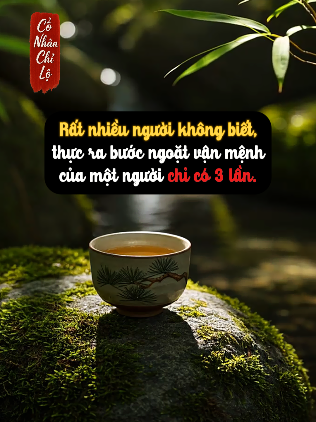Rất nhiều người không biết, thực ra bước ngoặt vận mệnh của một người chỉ có ba lần. #conhanchilo #baihoccuocsong #suyngam #giacngo #tinhthuc #tutam