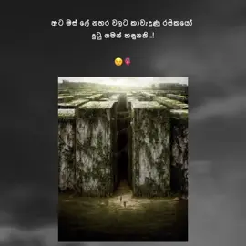 ෆිල්ම් එකෙ නම කියමු බලන්ඩ... 😌🤍          #movie #fyp #foryou #trending #fyppppppppppppppppppppppp #srilanka #adventure #mazerunner 