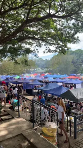 Valencia Sunday Market 💕🥰