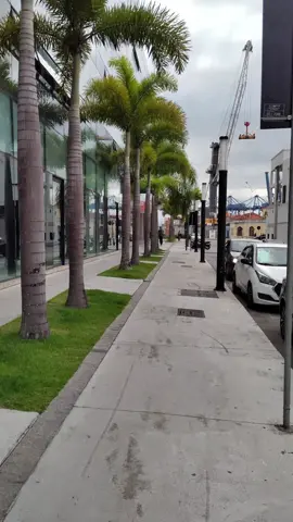 centro de Itajaí Santa Catarina 2025 Litoral Norte Brasil