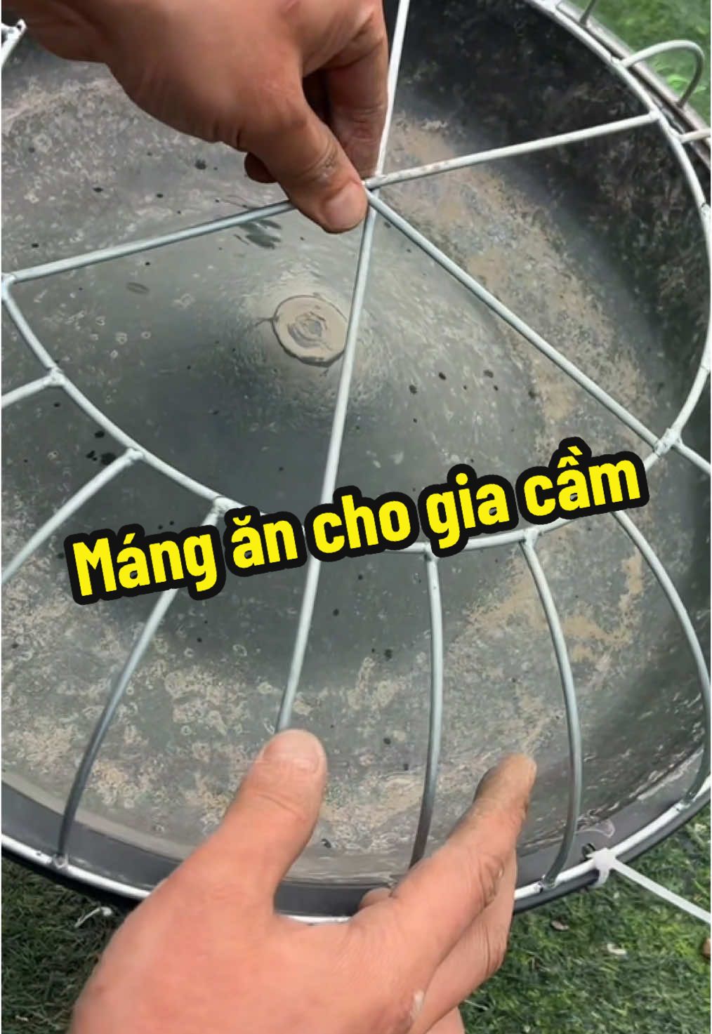 Máng ăn cho gia cầm , đế nhựa , khung thép chắc chắn #manganchogiacam #mangantron #manganchogavit #mangan 