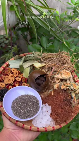 Nhà em vừa ra set nấu Sâm Bí Đao La Hán uống giải nhiệt mùa hè, các bác ủng hộ nhà em nhé #nuocsam #giaikhat #giainhiet #chantamduong 