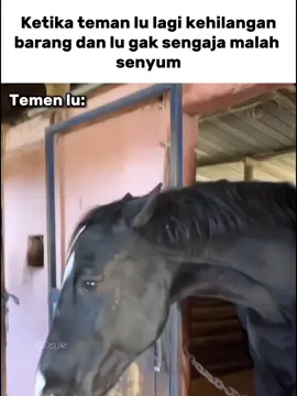 ketawa karena liat mukanya🗿🤭 #meme #fyp #zxycba #relate