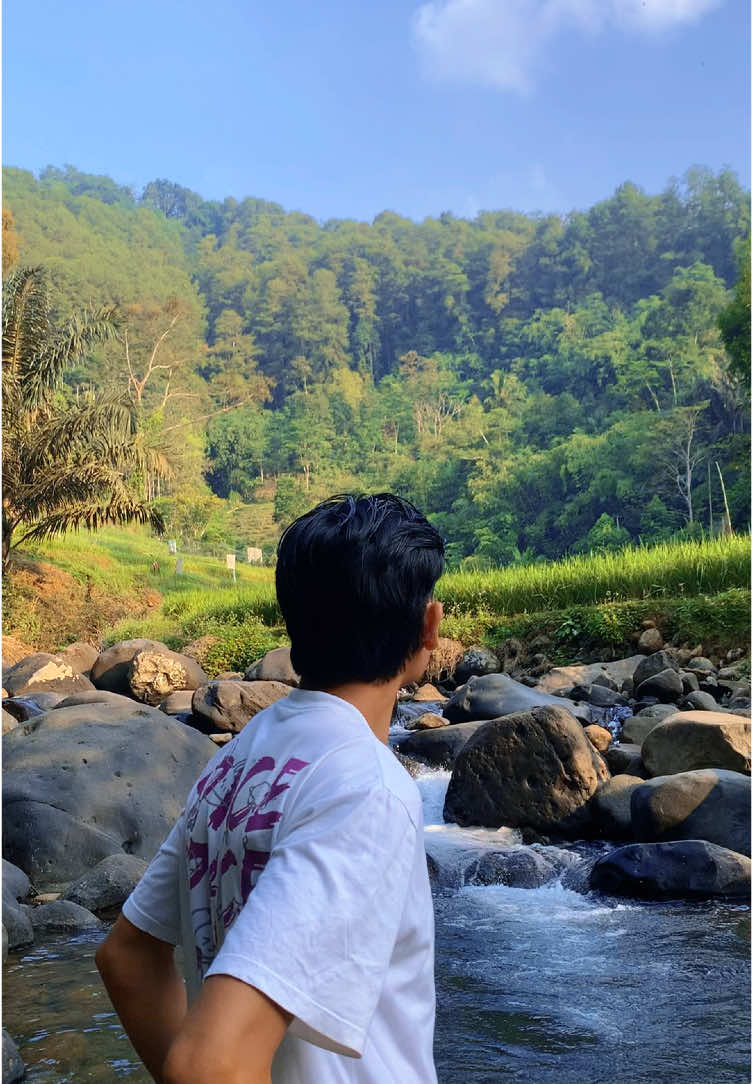 🍃