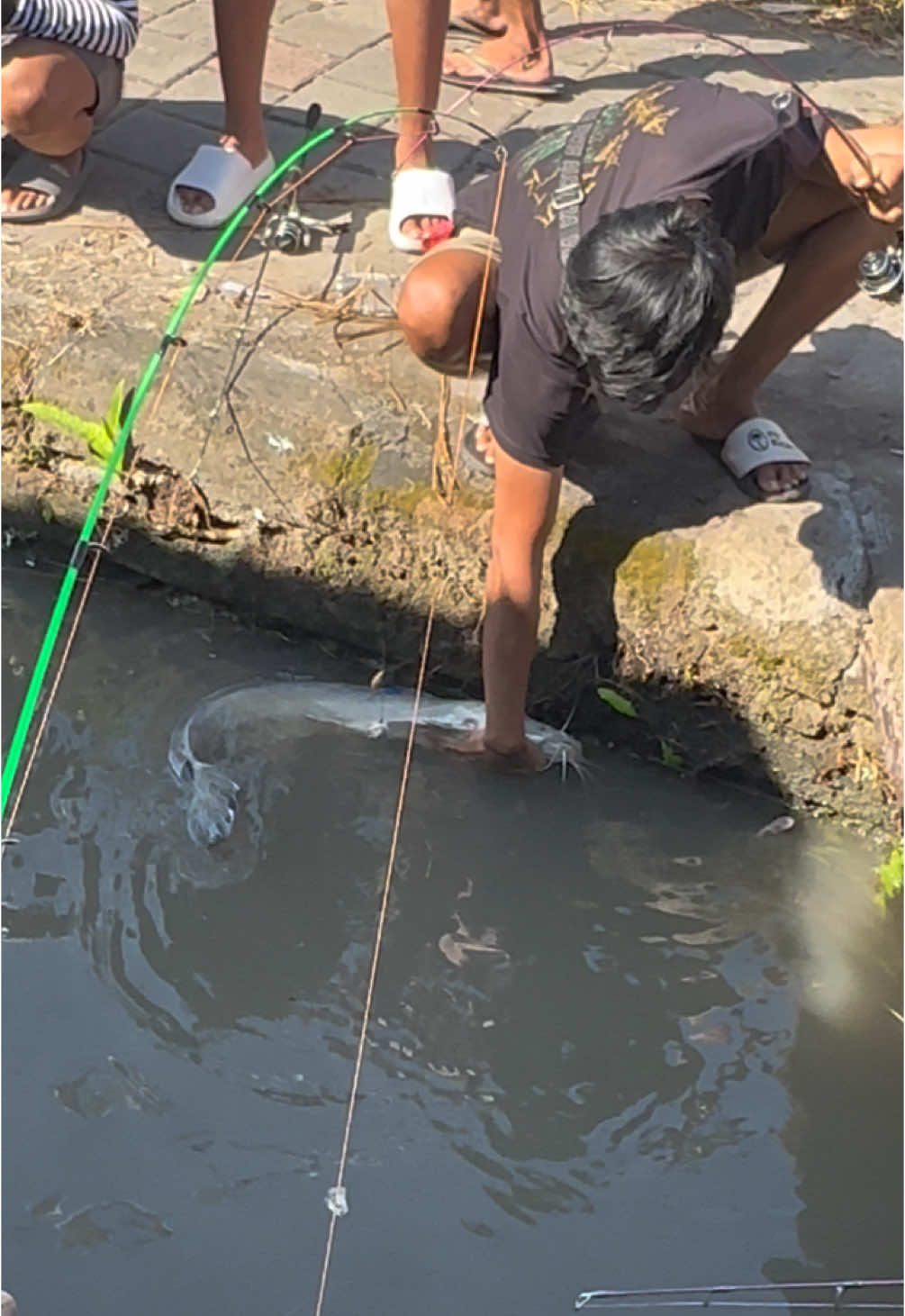 Lomba mancing air deras munggu,pita biru wi #fyp #mancingmania #fypシ゚viral #mancing #lombamancing 