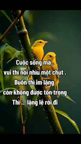 #tamtrang_camxuc 