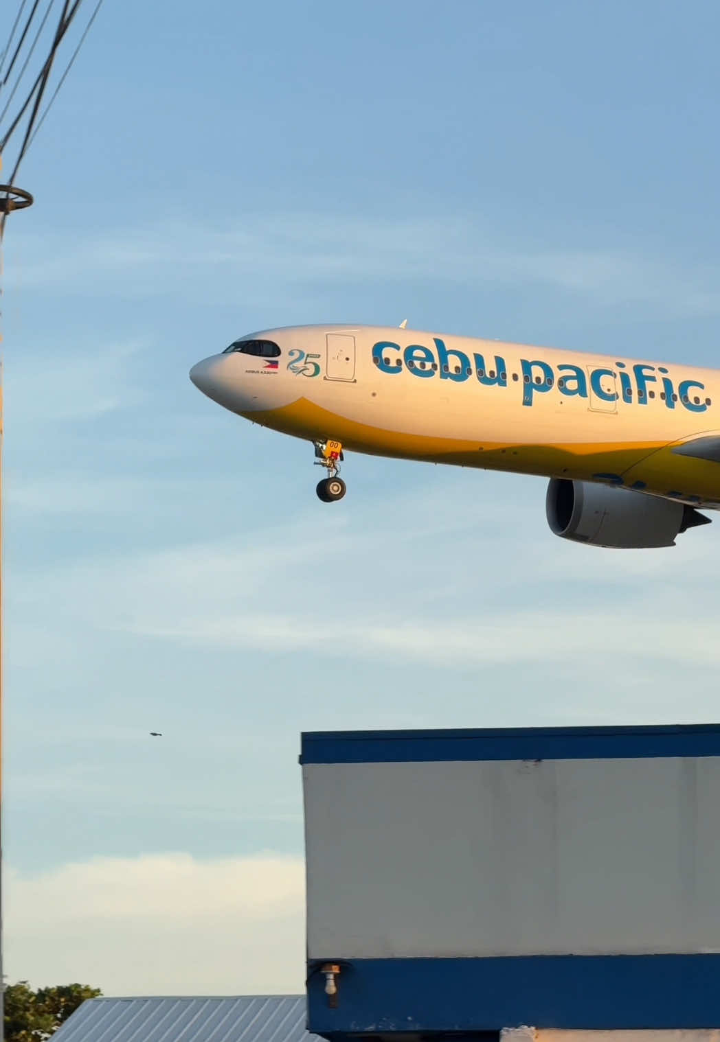 The Beauty of CebuPacific A330NEO #aviation #planespotting #manila  @Jhobai @Jiiiiiiiiii @jasperdlcrz ✈︎ @mauwijiii𓍼ོ 