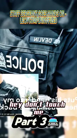##fyp #foryou #policeofficer #police #audit 
