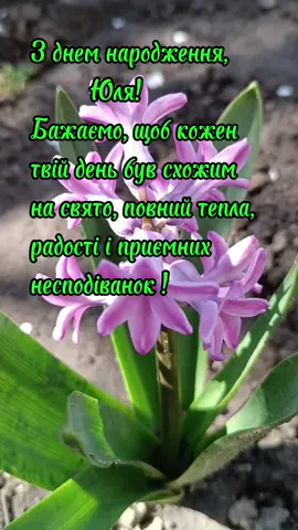 #CapCut  #зднемнародження #зднемнародженняюля #сднемрождения #вітаю #бажаю #зісвятом #Ukrainianmusic #українськамузика  #українськийтікток  #sound  #musik #тикток  #video #rek #рекомендации 