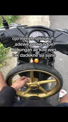 kurang pie iseh hts we aku ws wedi kelangan koe😭 #tigerturbov2 